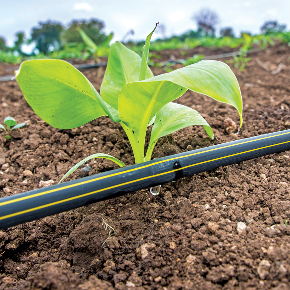 Jain Irrigation Systems Shop Online JISL Sprinklers & Drip Kits