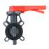Jain Plastic Butterfly Valve